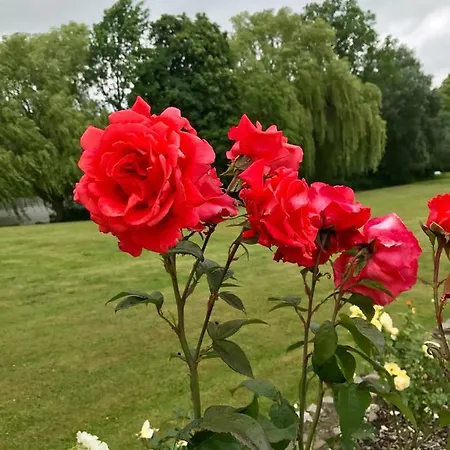 Daire Gutshaus Gross Helle Mölln